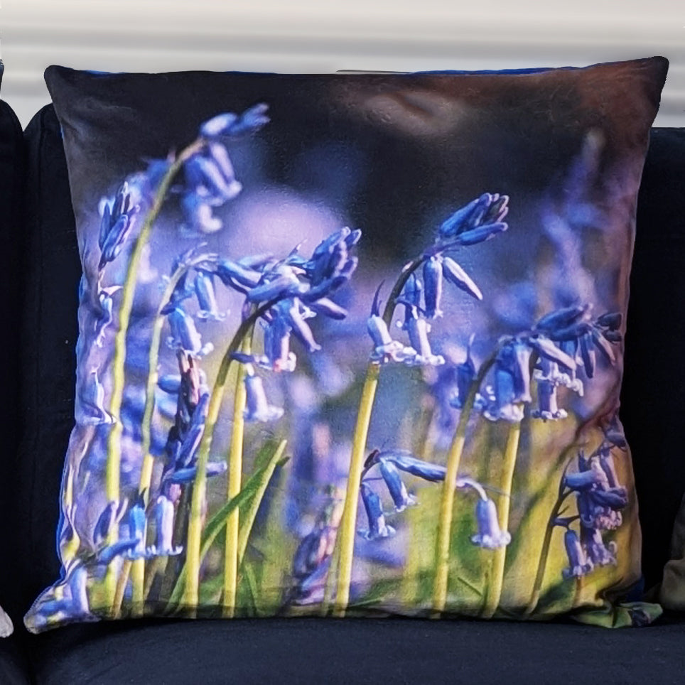 Bluebell Velvet Cushion