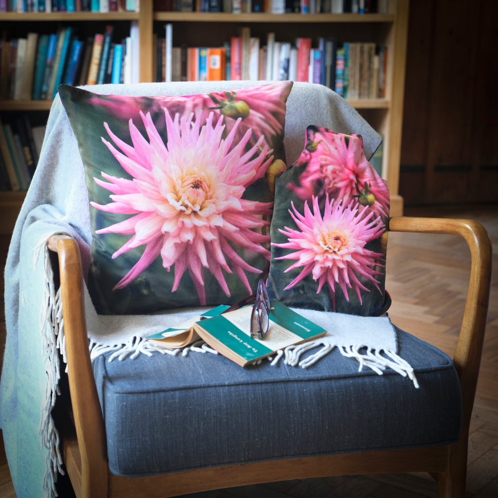 Pink Dahlia Velvet Cushion