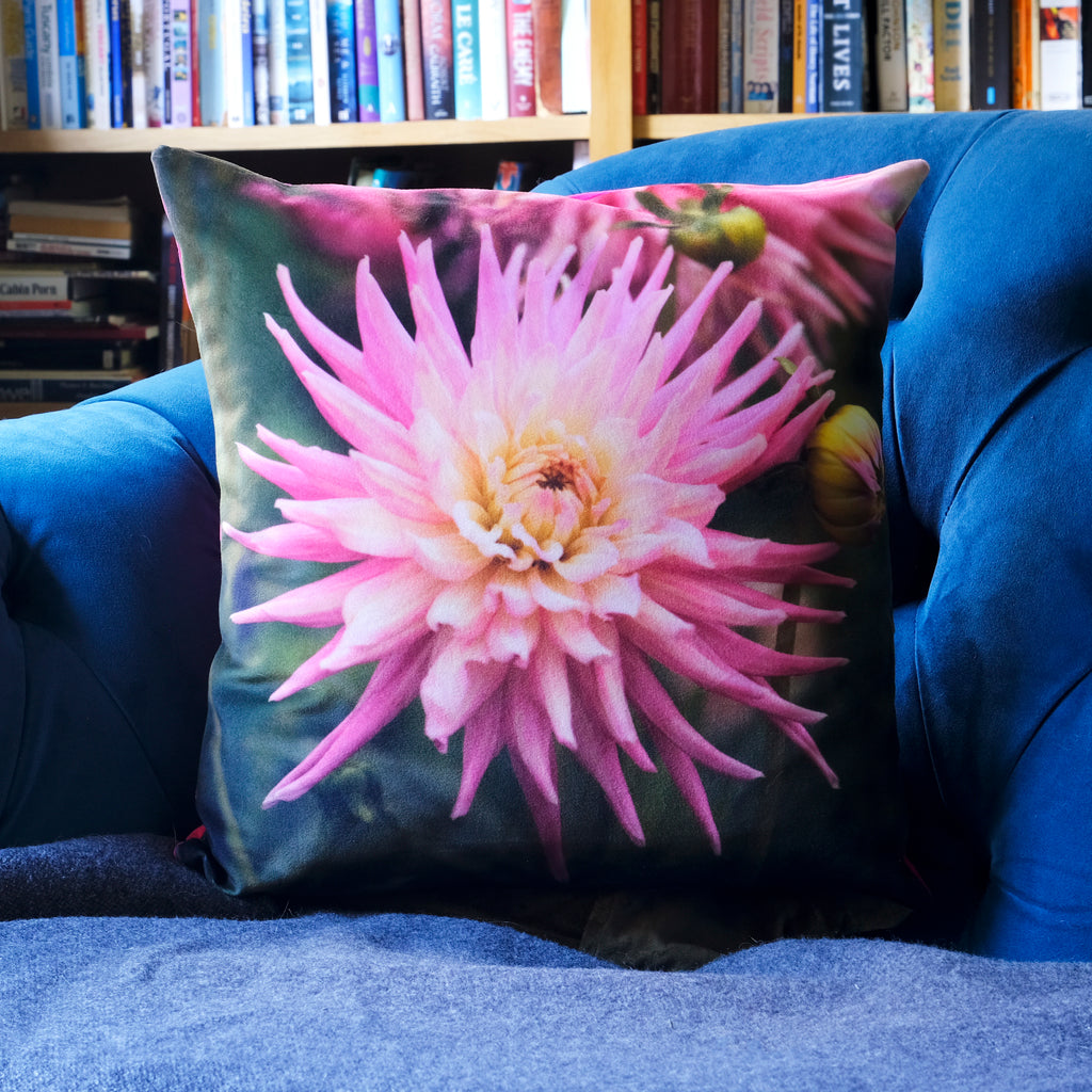 Pink Dahlia Velvet Cushion sample