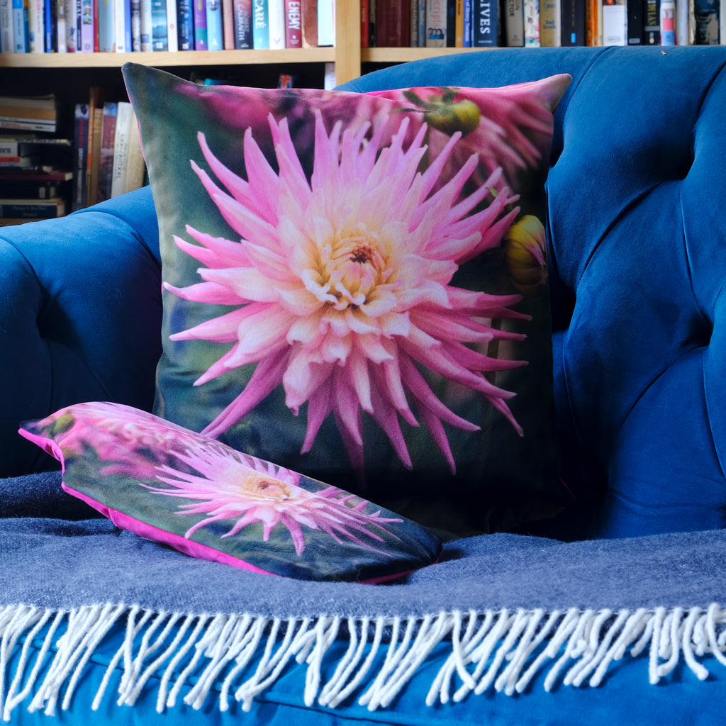 Pink Dahlia Velvet Cushion