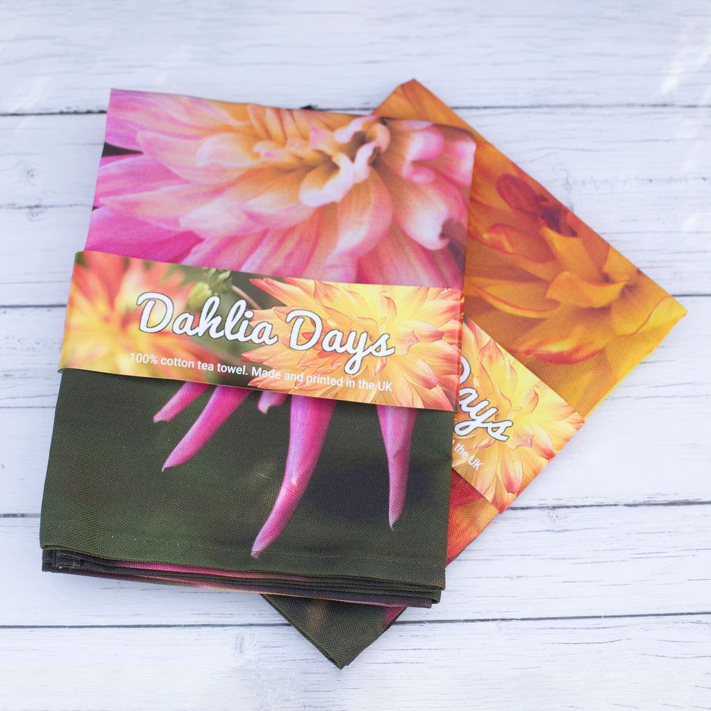 Pink dahlia tea towel