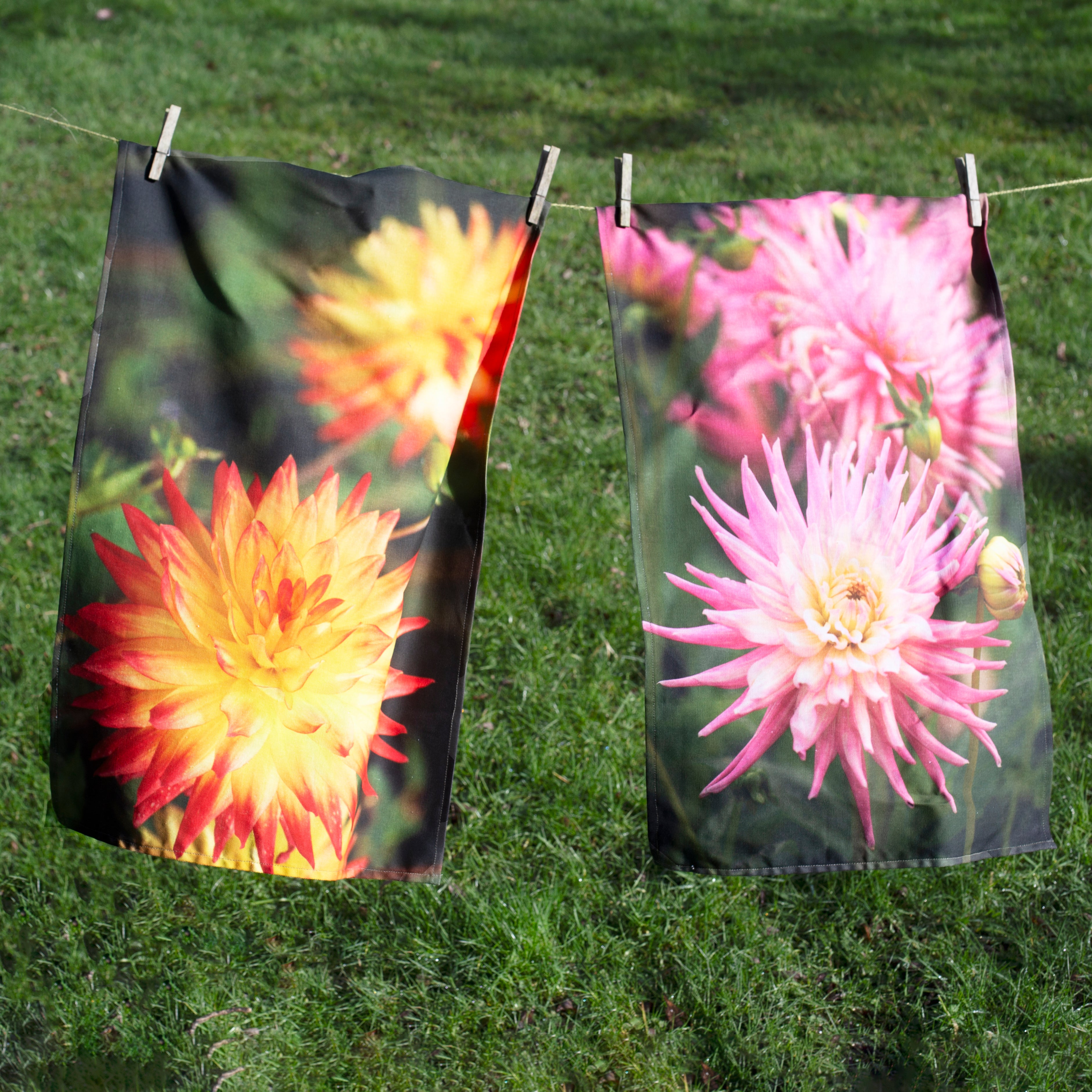 Pink dahlia tea towel
